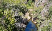 Randonnée Marche Bagnols-en-Forêt - BAGNOLS EN FORÊT - LES GORGES DU BLAVET - Photo 20