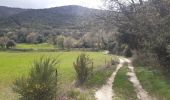 Trail Walking Céret - mon balcon de Céret - Photo 18