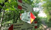 Randonnée A pied Capizzone - Sentiero 583: Medega (Capizzone) - Passo del Canto - Photo 4