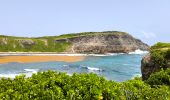 Trail Walking Saint-François - Guadeloupe - Anse à la Baie à Porte d'Enfer - Photo 3