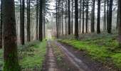 Trail Walking Toulon-sur-Arroux - RANDO_La_Croix_Des_Autrichiens - Photo 7