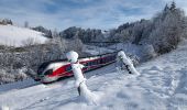 Tour Zu Fuß Einsiedeln - Einsiedler Herbschtfäscht - Photo 6