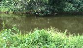 Trail Nordic walking Sainte-Anne - Belle mare - Photo 5
