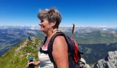 Trail Walking La Clusaz - ARAVIS: LES CONFINS - LAC DE TARDEVANT - POINTE DE TARDEVANT - Photo 3