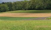 Trail Walking Tinlot - boucle dans les campagnes et bois de Ramelot - Photo 1