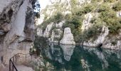 Randonnée Marche Quinson - Quinson, les basses gorges et la chapelle Ste Maxime - Photo 16