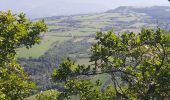 Trail Walking Dieulefit - col de la pousterle  - Photo 5