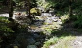 Tour Wandern Val-d'Aigoual - Mont Aigoual - Cabrillac - Photo 12