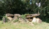 Tour Wandern Beaumont-en-Véron - INDRE ET LOIRE: BEAUMONT EN VERON - Photo 9