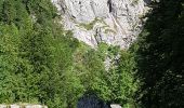 Tour Wandern Sallanches - les fours - Photo 8