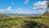 Tocht Stappen Vielsalm - ballade autour de salmchateau - Photo 1