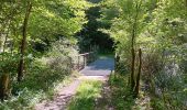 Trail Walking Villard-Saint-Sauveur - cascade de flumen - saut du chien - retour en partie par la route  - Photo 13