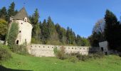 Tocht Te voet Slovenske Konjice - Trije križi - Stolpnik - Photo 6