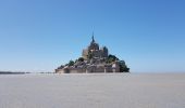 Tocht Stappen Le Mont-Saint-Michel - Le Mont St Michel,  Herbus, Sables, et Barrage de La Caserne. - Photo 7