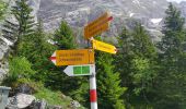 Tocht Te voet Grindelwald - Grosse Scheidegg - Scheidegg / Oberläger - Photo 3