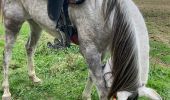 Excursión  Métairies-Saint-Quirin - Rond pré avec Lola et shine  - Photo 2