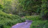 Tocht Te voet North Devon - Butterfly Walk - Photo 8