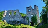 Tour Zu Fuß Samobor - Samobor (Hamor) - Slani dol - Photo 5