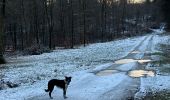 Randonnée Marche Neufchâteau - Hosseuse 4,2 km  - Photo 6