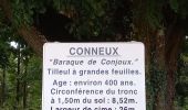 Tour Wandern Ciney - Conjoux - Photo 2