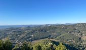 Tour Wandern Sanary-sur-Mer - Paul Batterie de la Pointe Roche Crurade - Photo 3