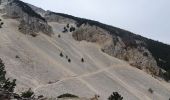 Trail Walking Beaumont-du-Ventoux - Mts Serein, Ventoux, tête de la Grave - Photo 1