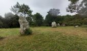 Trail Walking Plouharnel - dolmen de Crucuno - Photo 4