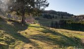 Tour Wandern Le Ménil - Boucle au départ des chalets de la 