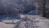 Tocht Sneeuwschoenen Autrans-Méaudre en Vercors - La cheminée  - Photo 5