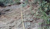 Randonnée Marche Bagnols-en-Forêt - Gorges du Blavet 83 - Photo 11