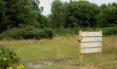 Percorso A piedi Stafford - Tolkien Trail Cannock Chase Walk - Photo 9