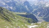 Trail Walking Pralognan-la-Vanoise - Pralognan - Col et pointe de leschaux - 17/07/19 - Photo 10