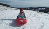 Tocht Stappen Lepuix - Lola & Ballon d'Alsace - Photo 1