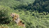 Tocht Stappen Saint-Philbert-sur-Orne - La roche d’oëtre  - Photo 6