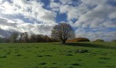 Tour Wandern Heerlen - Klein rondje bos  - Photo 1