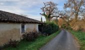 Randonnée Marche Monferran-Savès - ses les terres de Monferran Saves et plus - Photo 14