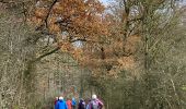 Trail Walking Marche-en-Famenne - Humain - Photo 1