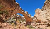 Tocht Stappen Unknown - 2024 Capitol Reef Hickman Bridge - Photo 7