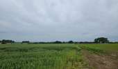 Randonnée Marche Eijsden-Margraten - La Montagne Saint-Pierre  - Photo 12