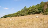 Percorso A piedi Warburg - Rundwanderweg 