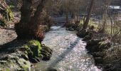 Tour Wandern Weset - A travers les bois et étangs de la julienne 🥾 - Photo 10