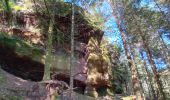 Trail Walking Le Tholy - cascades et hêtre de la vierge  - Photo 2