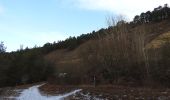 Tour Zu Fuß Arnstadt - Geschichts- und Naturlehrpfad im Jonastal - Großer Wanderweg - Photo 8