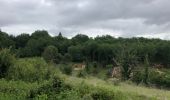 Tocht Elektrische fiets Alles-sur-Dordogne - La balade de l’ascension  - Photo 9