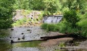 Tour Wandern Menétrux-en-Joux - cascades du hérisson- Menetrux en Joux - Photo 9