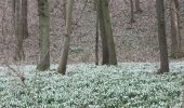 Tour Zu Fuß Artern - Quernetal-Heygendorf-Lodersleben - Photo 4