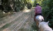 Trail Horseback riding Buoux - Provence 2025 J2 - Photo 19