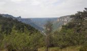 Randonnée Marche Massegros Causses Gorges - Baousse del fiel - Photo 2