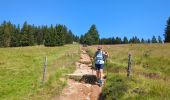 Trail Walking Orbey - Circuit des 2 lacs : lac du Forlet et lac Vert - Photo 17