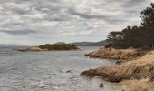 Tour Wandern Hyères - 20210312 A Pieds Porquerolles - Photo 15